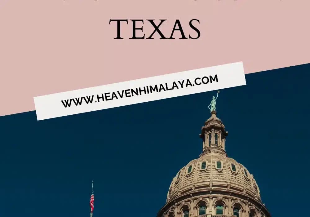 Top 21 Best Travel Blogs in Texas | Best Bloggers and Influencers
