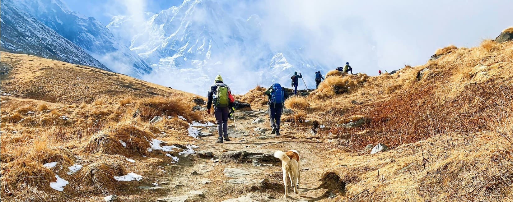 Dog giving company to Trekkers in ABC trail