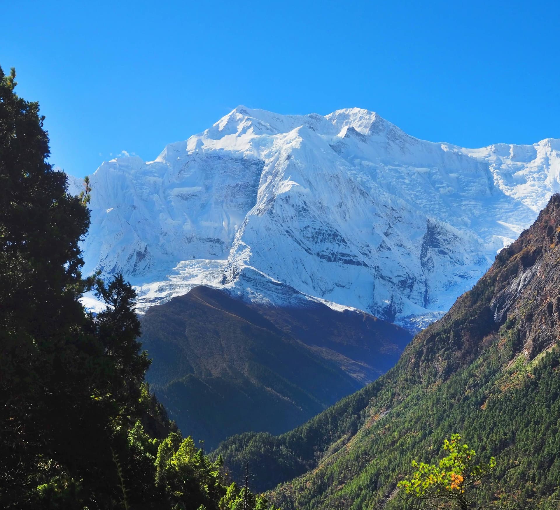 Annapurna Circuit Trek