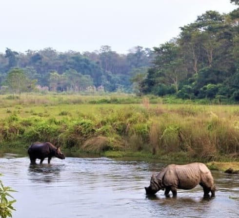Chitwan National Park Tour
