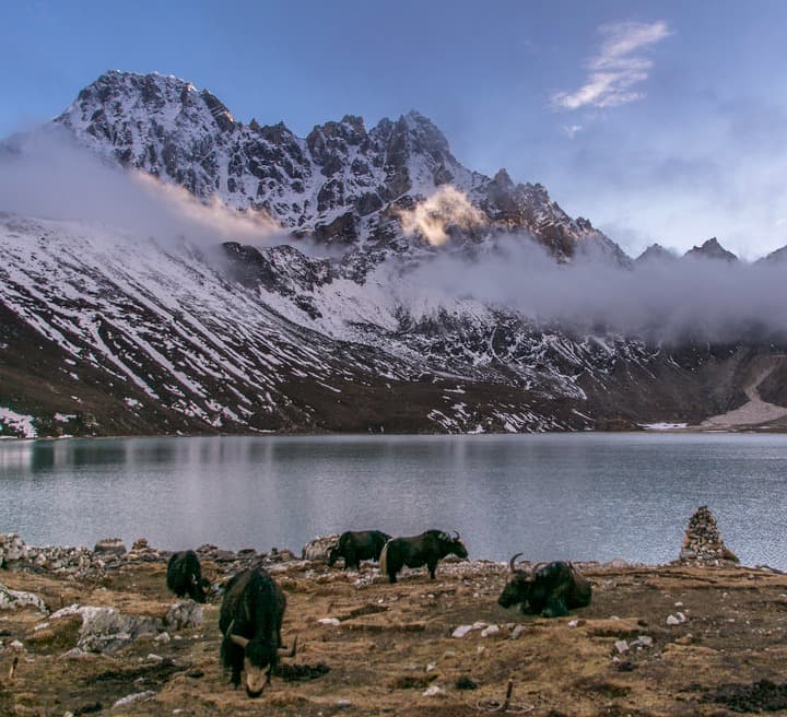 Gokyo Lake With Renjo La Pass Trek