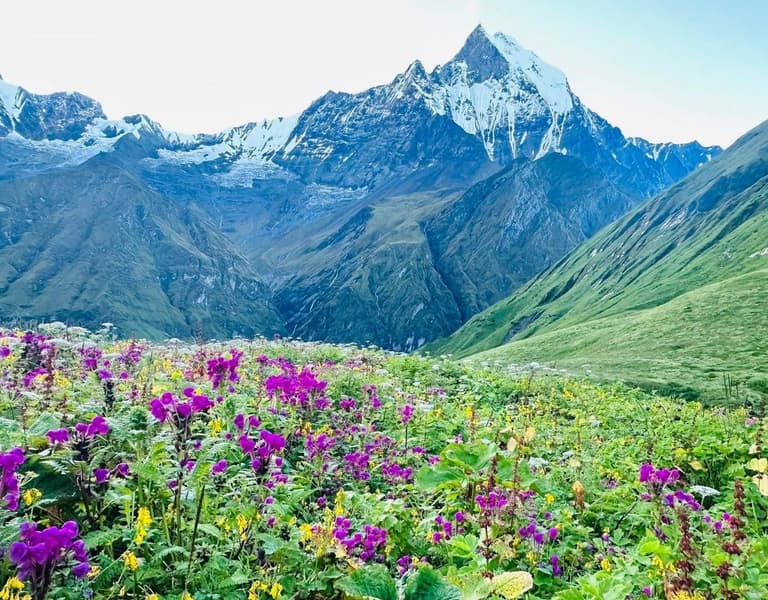 Machhapuchhre Base Camp