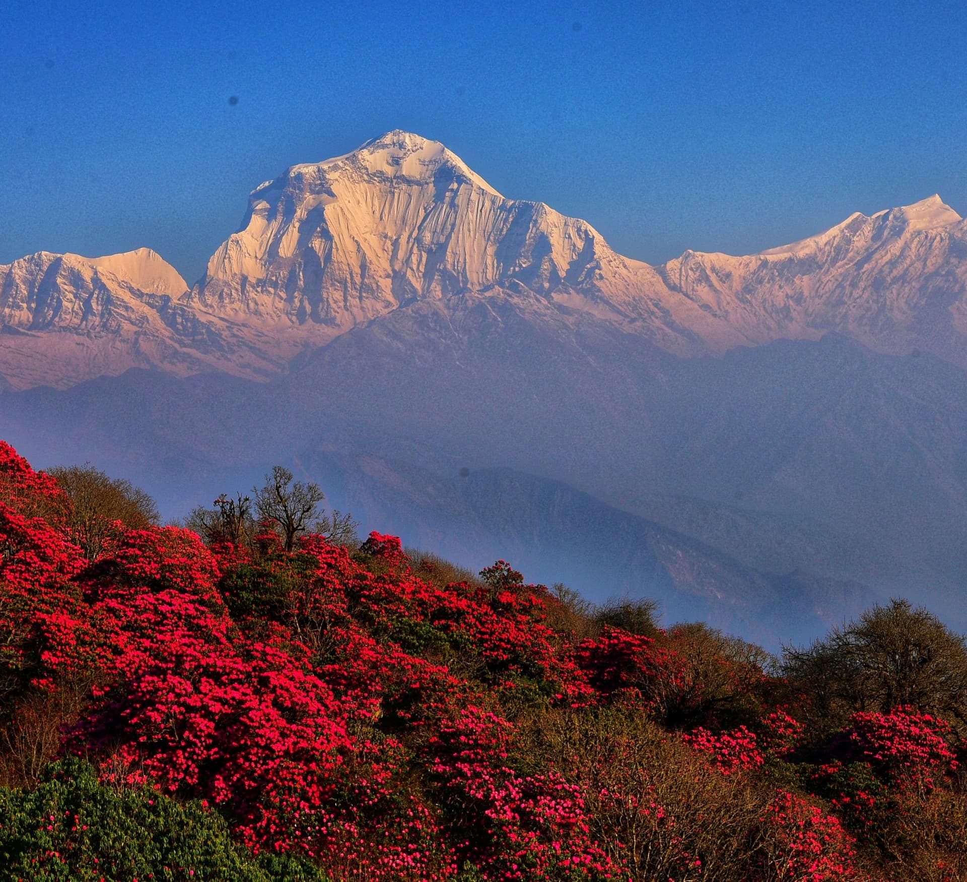 Poon Hill Trek-3 days