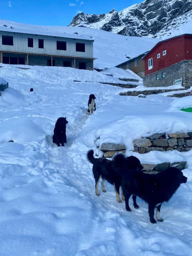 WhatsApp Image 2025 11 10 at 22.38.22 293cc6bb