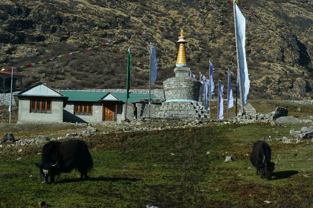 WhatsApp Image 2025 11 15 at 19.31.00 f821a591