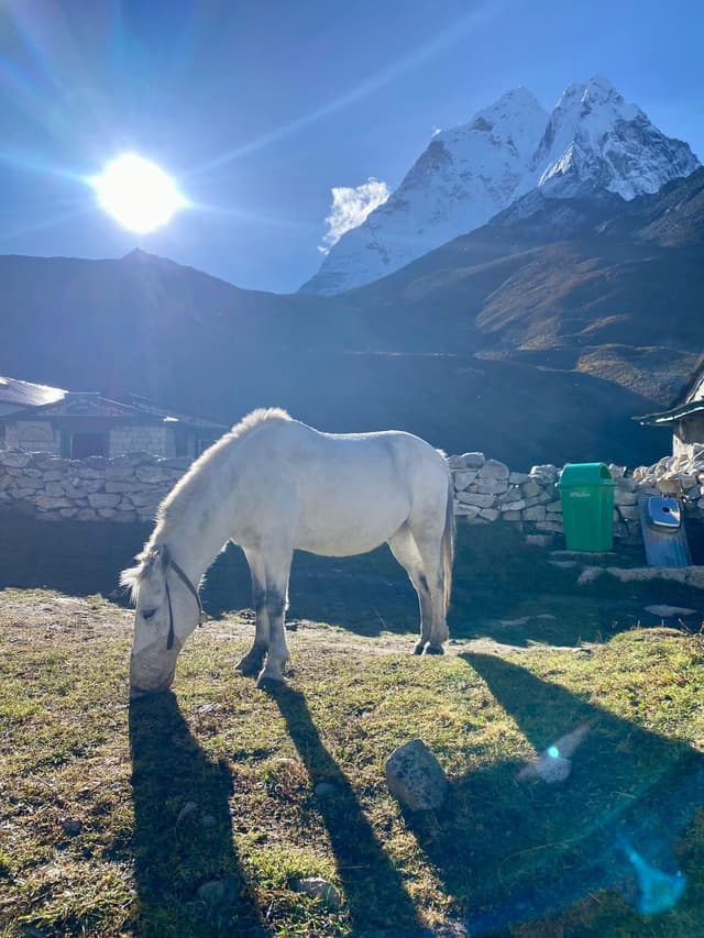 WhatsApp Image 2025 11 10 at 22.34.58 4328c129