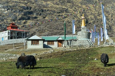 WhatsApp Image 2025 11 15 at 19.31.00 583f3434