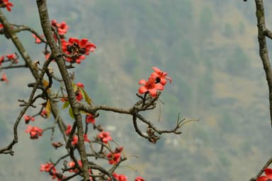 WhatsApp Image 2025 11 15 at 19.27.19 74d12d87