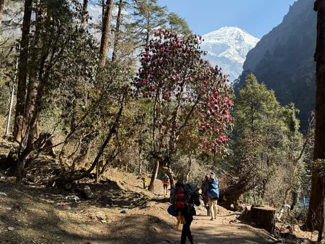 WhatsApp Image 2025 11 15 at 19.30.56 898f29ae