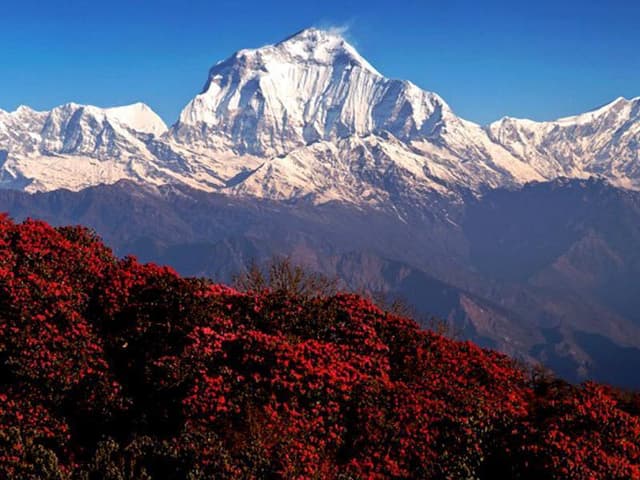 Ghorepani44