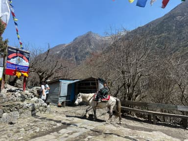 WhatsApp Image 2025 11 15 at 19.30.58 8a936143