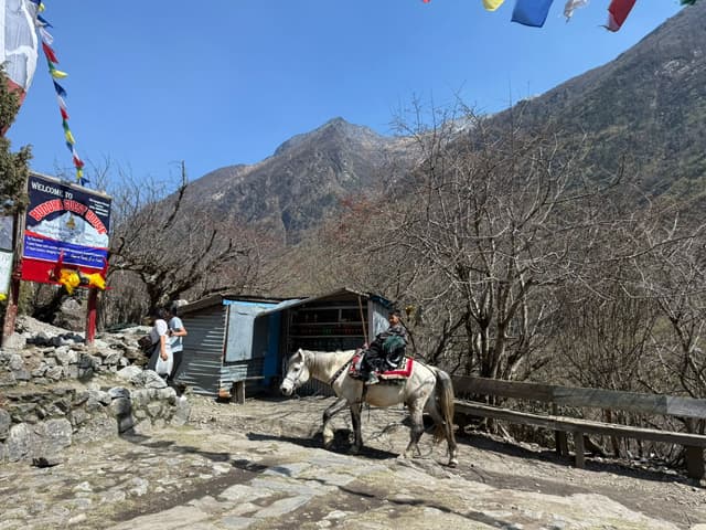 WhatsApp Image 2025 11 15 at 19.30.58 8a936143