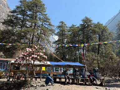 WhatsApp Image 2025 11 15 at 19.30.57 2cedea73