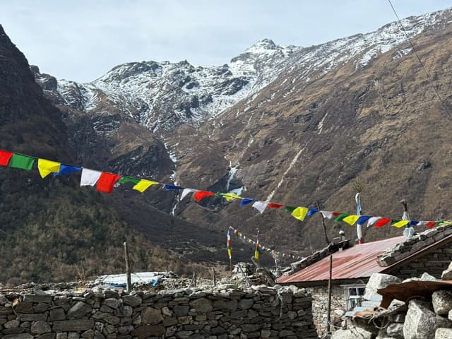 WhatsApp Image 2025 11 15 at 19.31.01 94f6d69a