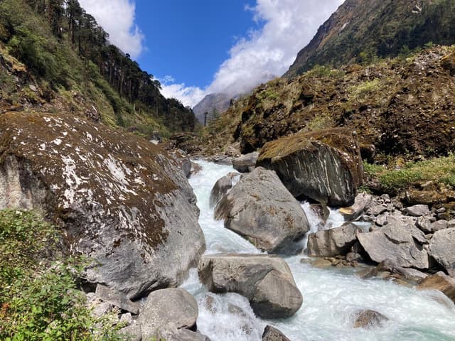 WhatsApp Image 2025 11 19 at 01.14.36 df2bcf91