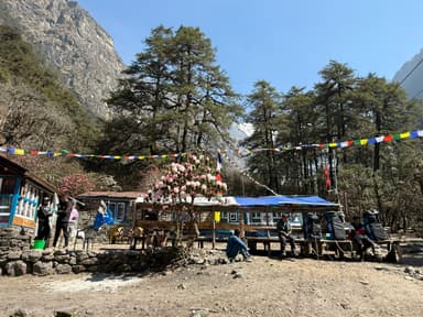 WhatsApp Image 2025 11 15 at 19.30.57 6ff10c16