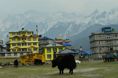 WhatsApp Image 2025 11 15 at 19.31.03 ef11a1a3