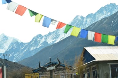 WhatsApp Image 2025 11 15 at 19.31.02 662b2295