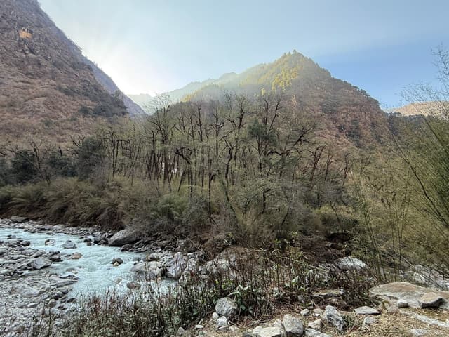 WhatsApp Image 2025 11 15 at 19.30.55 113600cc