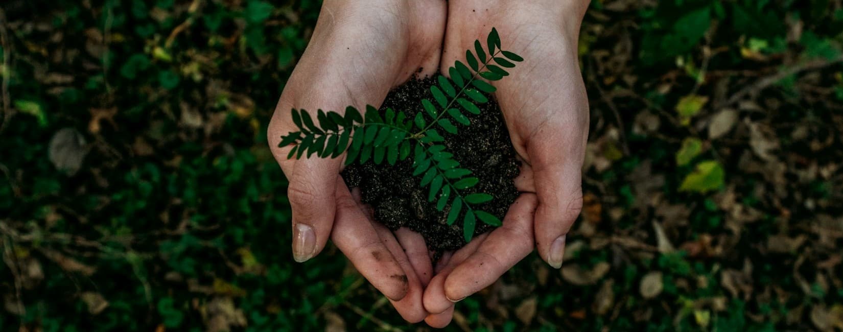 Responsible Tourism Statement