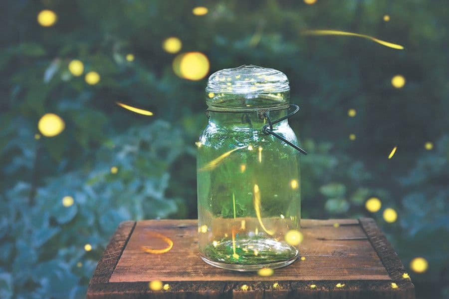 WhatsApp Image 2025 10 21 at 20.58.16 a4f5eb0d