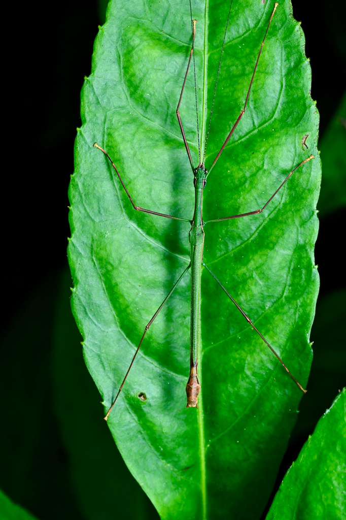 WhatsApp Image 2025 10 15 at 01.36.31 3e346a1b