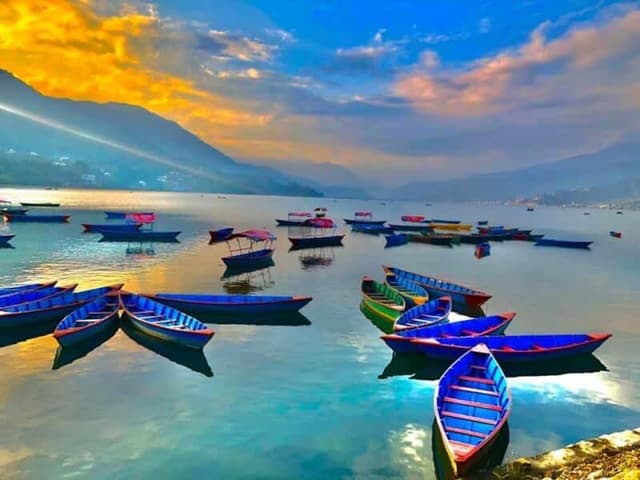 IMG 5695 E1647847020226