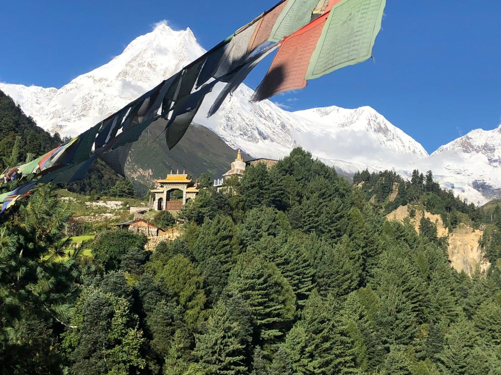 WhatsApp Image 2025 08 25 at 00.47.47 e38a08fd