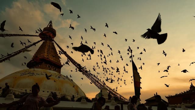 WhatsApp Image 2025 08 19 at 00.20.28 161b83a3