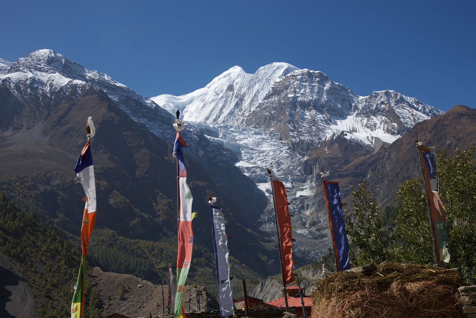 WhatsApp Image 2025 08 19 at 01.03.27 cbf2fa58