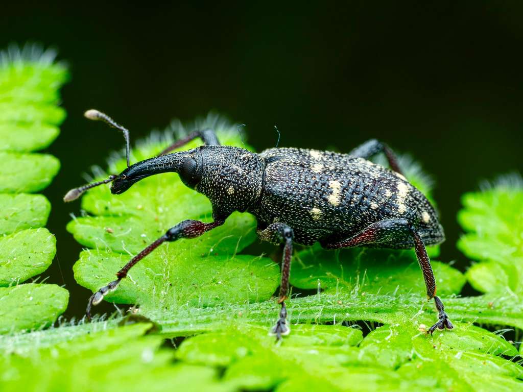 WhatsApp Image 2025 10 15 at 01.37.43 92d572b6