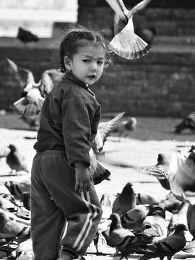 WhatsApp Image 2025 08 23 at 00.53.08 50dbf202