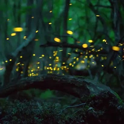 WhatsApp Image 2025 10 21 at 20.58.18 71b14cf9