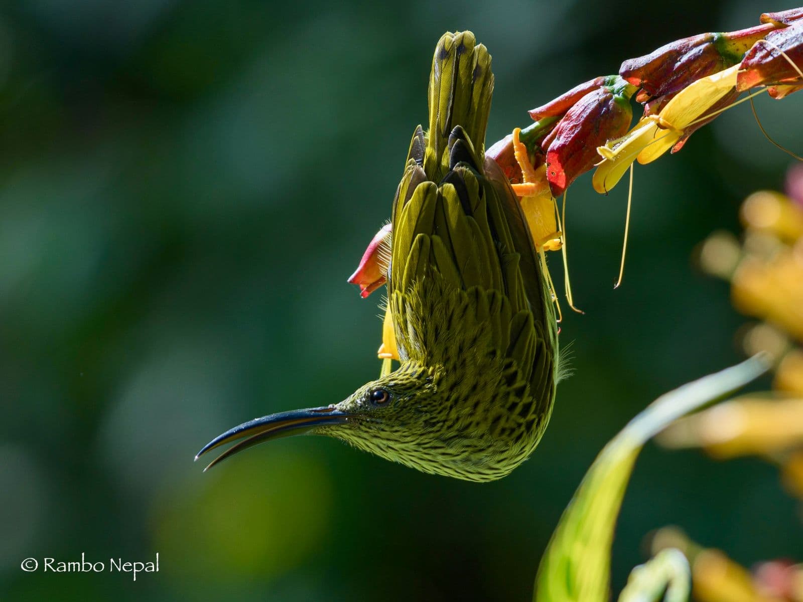 WhatsApp Image 2025 10 15 at 00.57.52 1ad362df