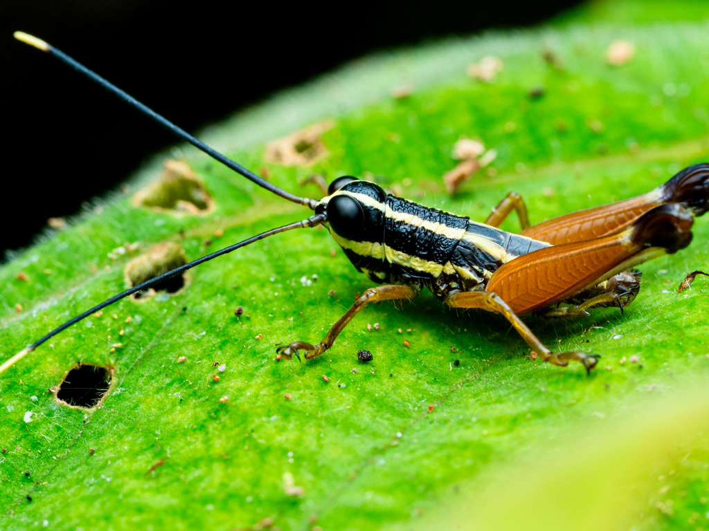 WhatsApp Image 2025 10 15 at 01.36.31 190b4e21