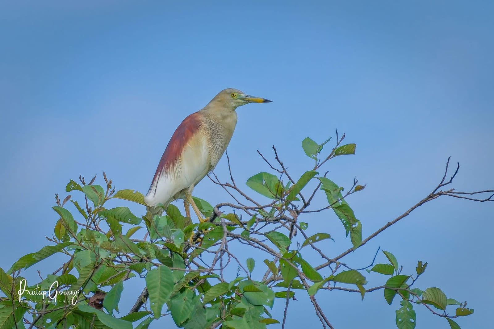 WhatsApp Image 2025 10 15 at 00.57.52 7e29a430