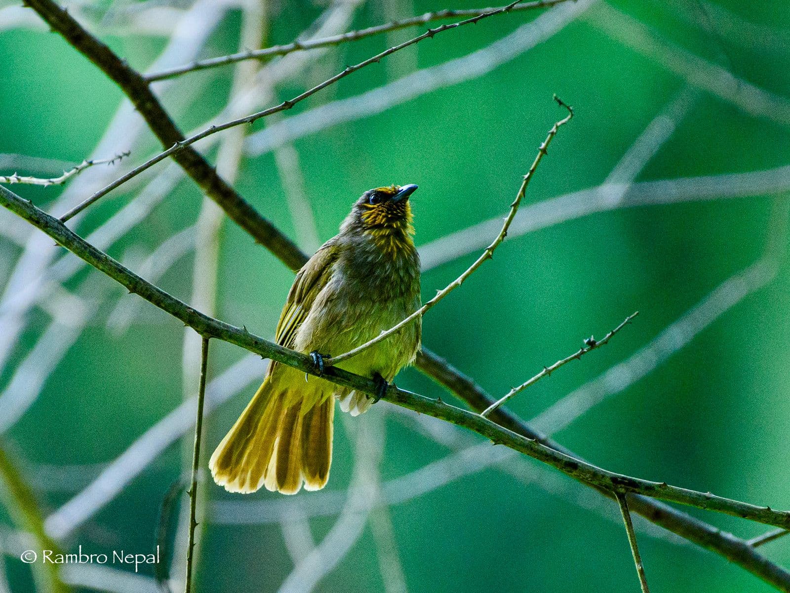 WhatsApp Image 2025 10 15 at 00.57.53 46127e55