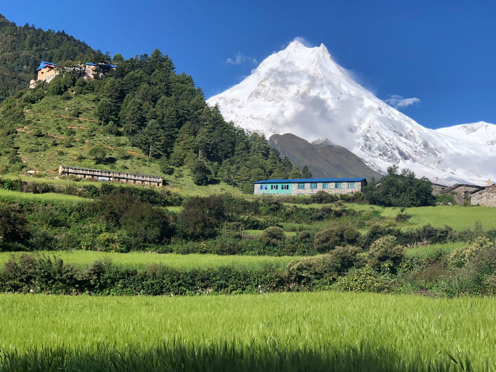 WhatsApp Image 2025 08 25 at 00.47.47 926b2af9