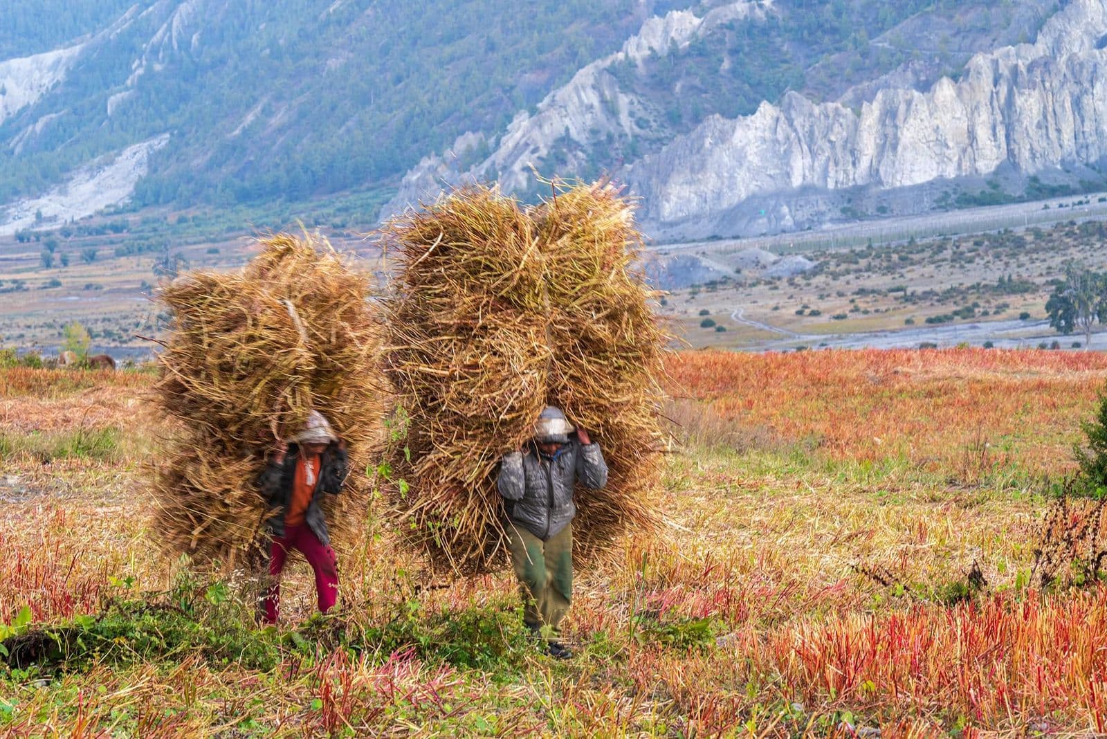 WhatsApp Image 2025 08 19 at 01.03.26 43936a71