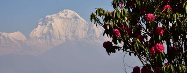 WhatsApp Image 2025 10 31 at 01.24.12 7d3bda21 (1)