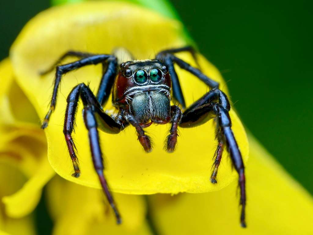 WhatsApp Image 2025 10 15 at 01.36.32 d11a0c63