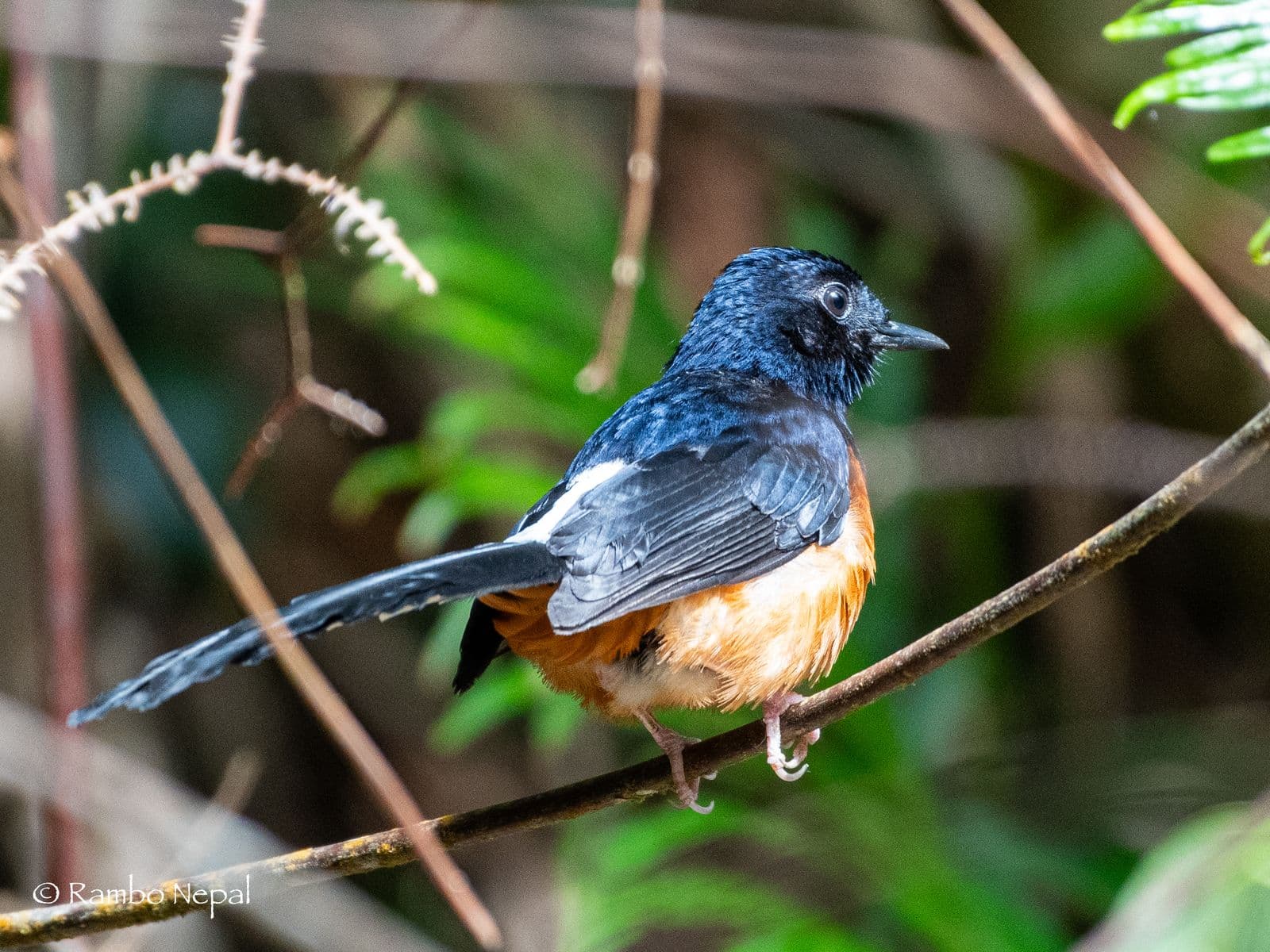 WhatsApp Image 2025 10 15 at 00.57.53 39a751ec