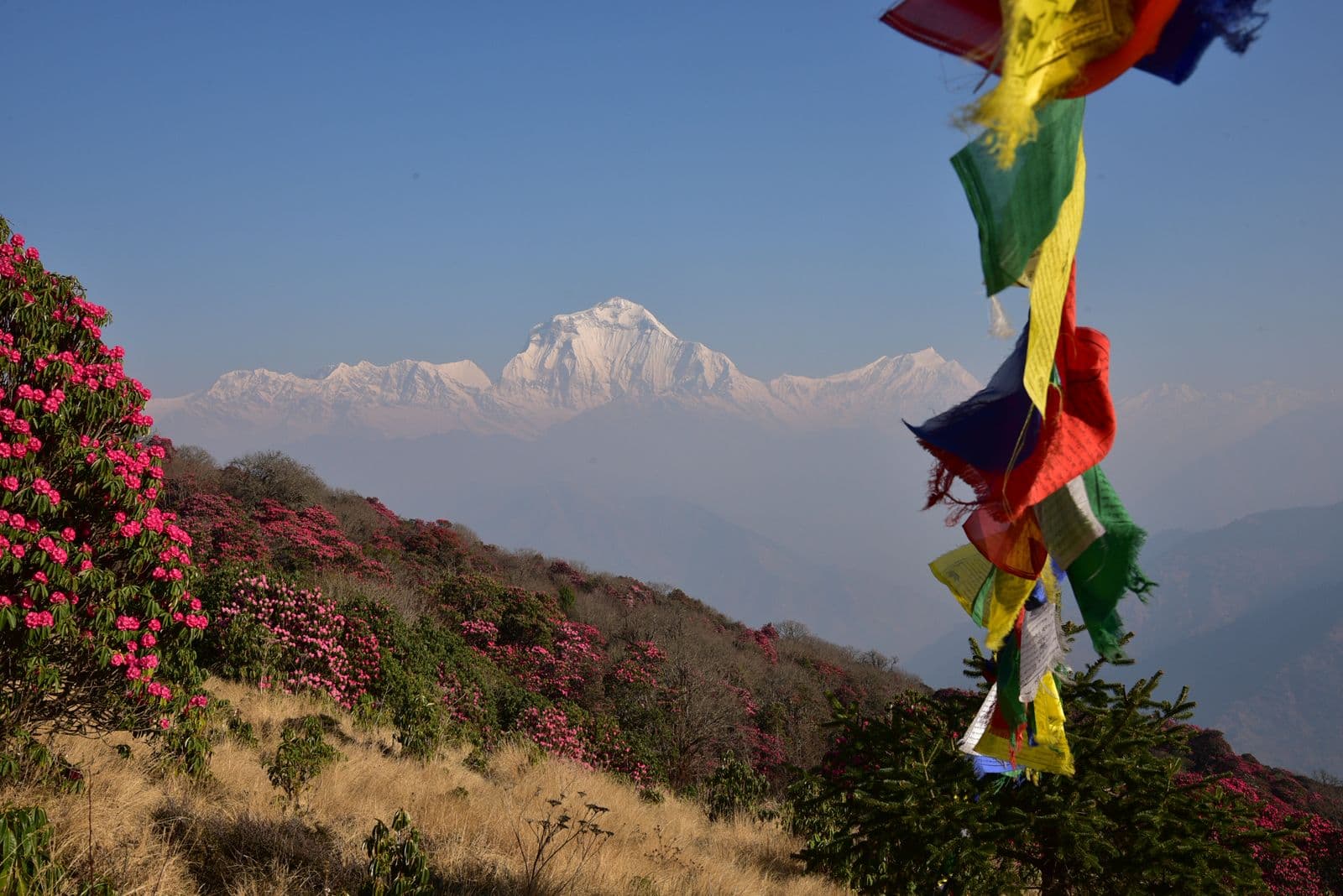 WhatsApp Image 2025 08 19 at 00.44.50 77d47d74