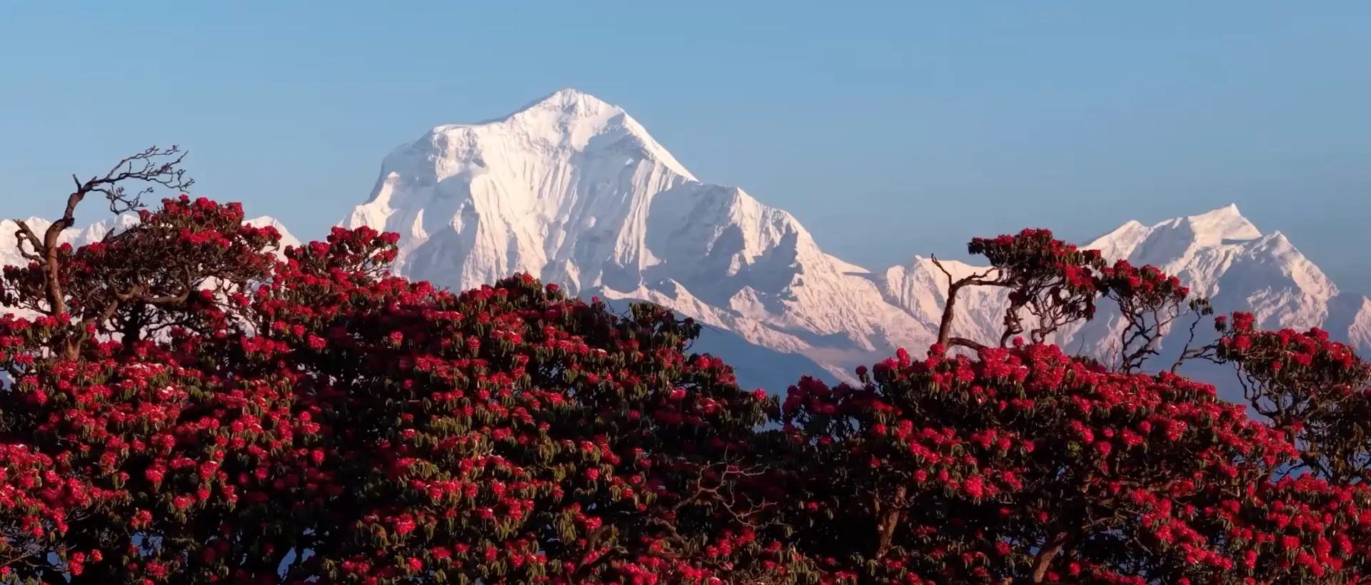 Heaven Himalaya Treks & Expedition hero
