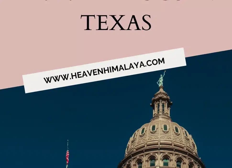 Top 21 Best Travel Blogs in Texas | Best Bloggers and Influencers