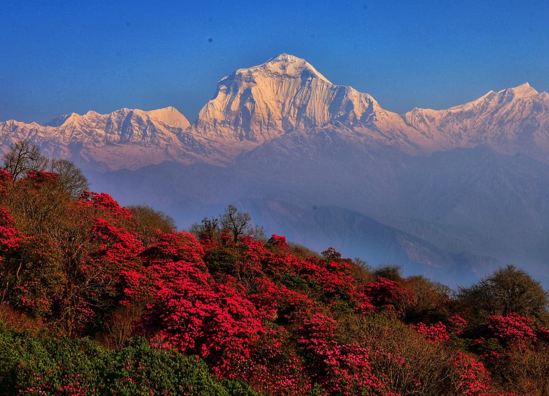 Poonhill, Nepal