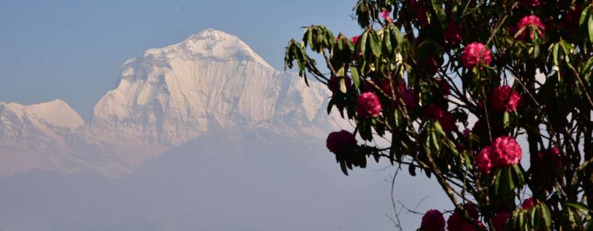 WhatsApp Image 2025 10 31 at 01.24.12 7d3bda21 (1)