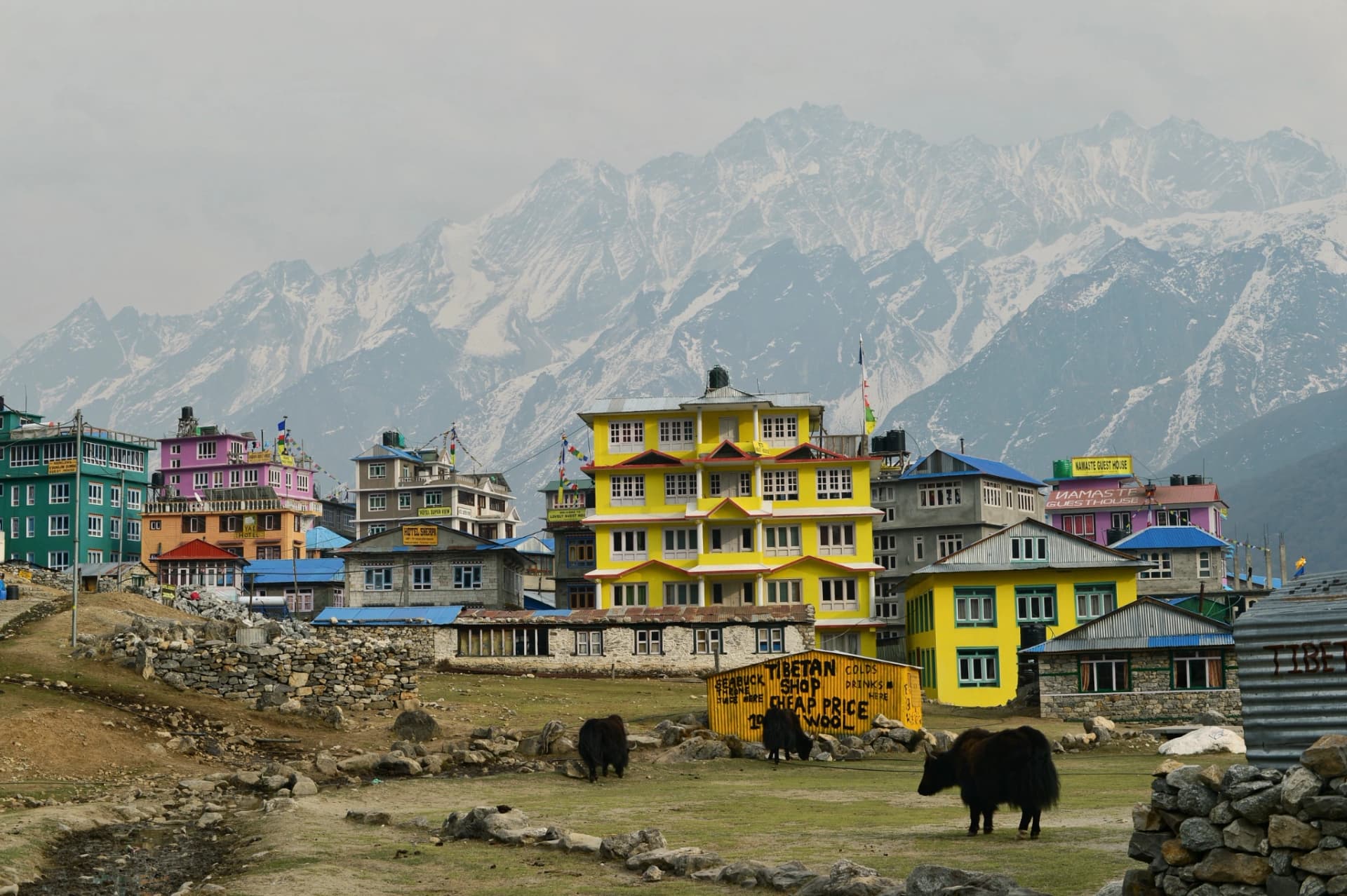 Kyanjin Gompa Village in Langtang Region